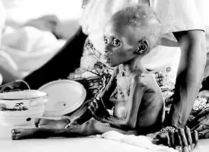 粮价上涨犹如"无声海啸"