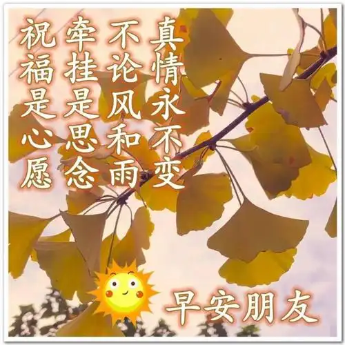 2021年唯美漂亮早安问候图片带字,阳光暖心的早安祝福语大全