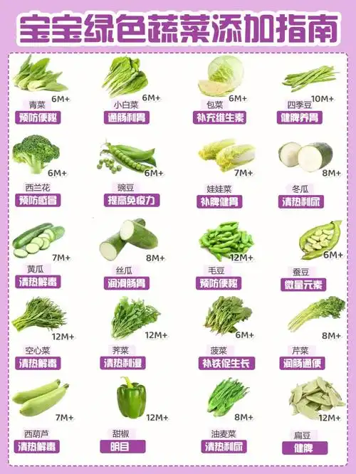 宝宝辅食绿色蔬菜说明书营养价值7571