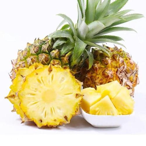 新鲜大菠萝水果徐闻菠萝的海大果菠萝蜜香脆甜爽凤梨菠萝云南菠萝