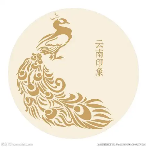 云南 孔雀 傣族