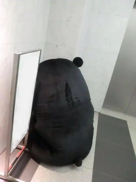 有爱 暖 熊本熊背影表情包