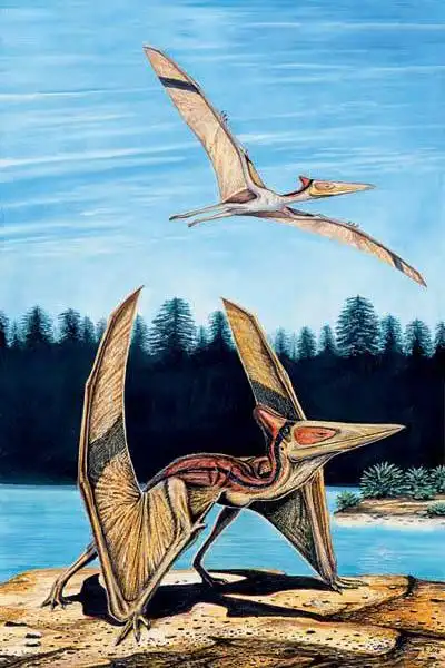 doduo从whonly转采于2018-04-07 18:21:44翼龙5喜欢恐龙,doduo该采集