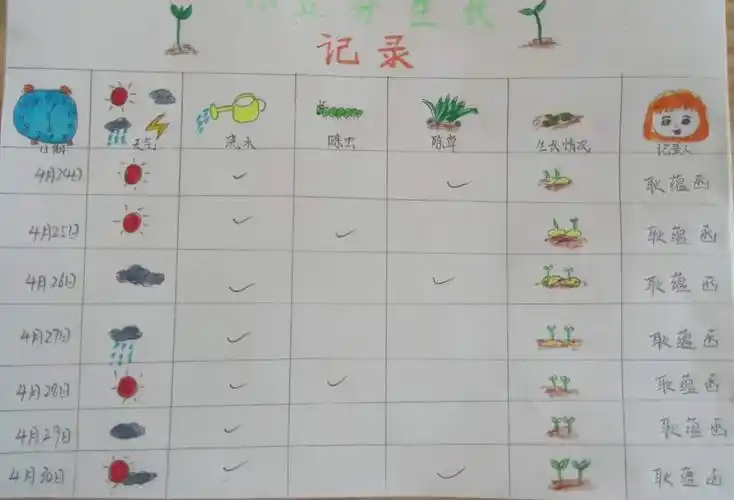 科学活动《豆芽成长记》——营上镇第二幼儿园中一班