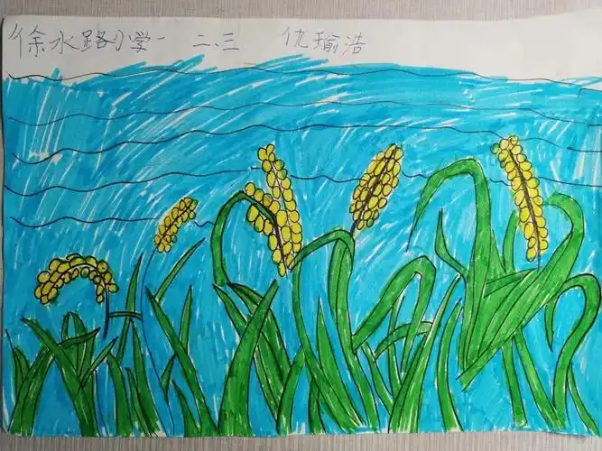 共话禾下乘凉 梦,同享劳动美滋味——青岛徐水路小学海水稻种植展