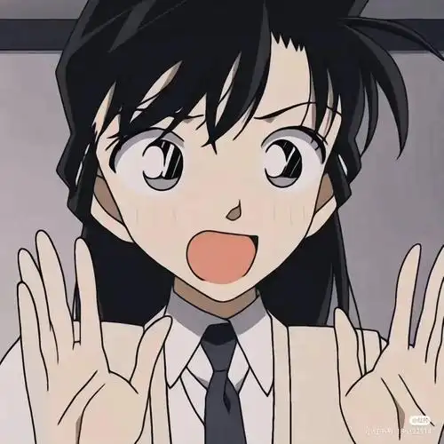 名柯毛利兰头像非原创