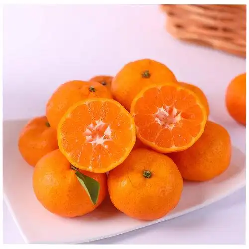 【产地直发】江西南丰贡桔5斤装 果园现摘南丰蜜桔 新鲜水果 顺丰包邮