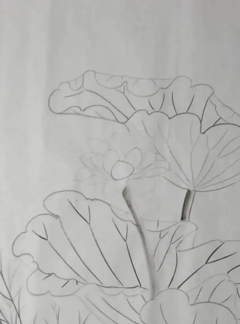 工笔荷花创作,线描底稿 - 抖音