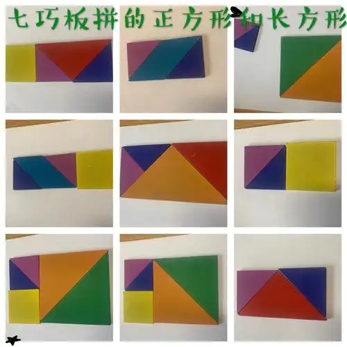 用七巧板还可以拼正方形和长方形