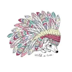 绘图的刺猬图片