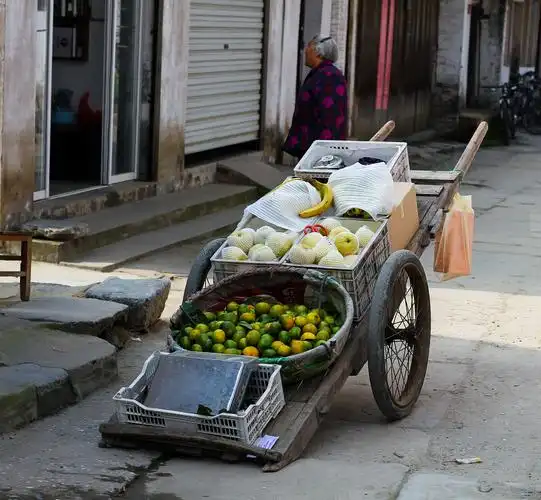 年迈的大娘,满满的推车,走街串巷地吆喝,生活不易,且行且