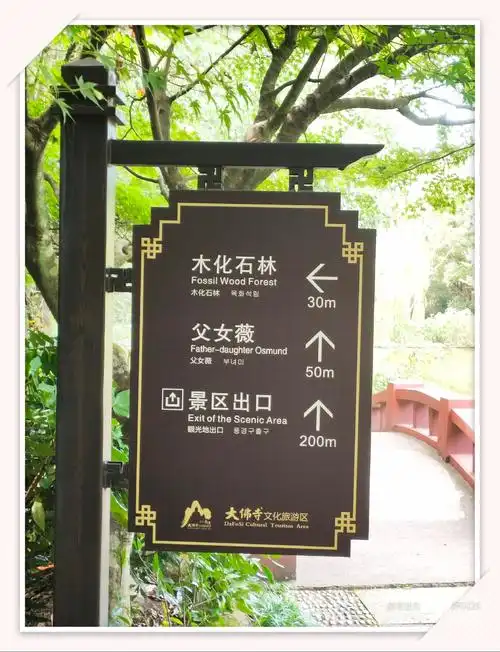 游记新昌菩提行