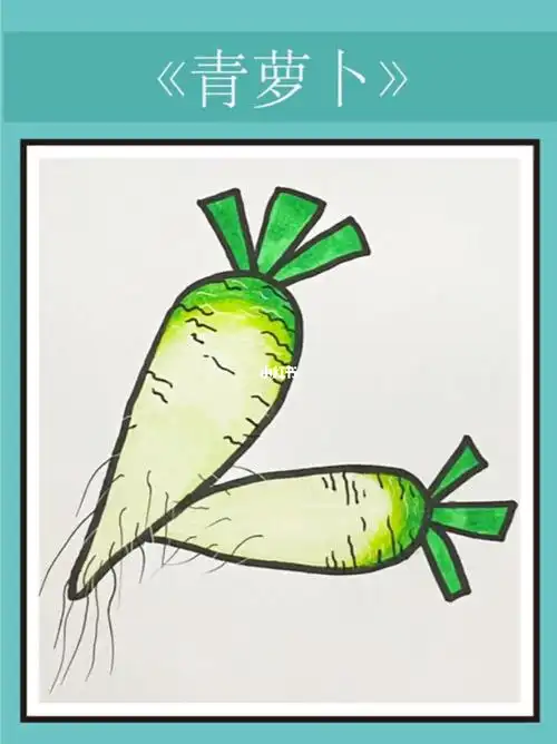 青萝卜简笔画教程