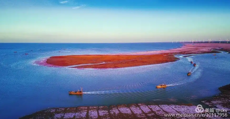 请你到黄河入海口看秋