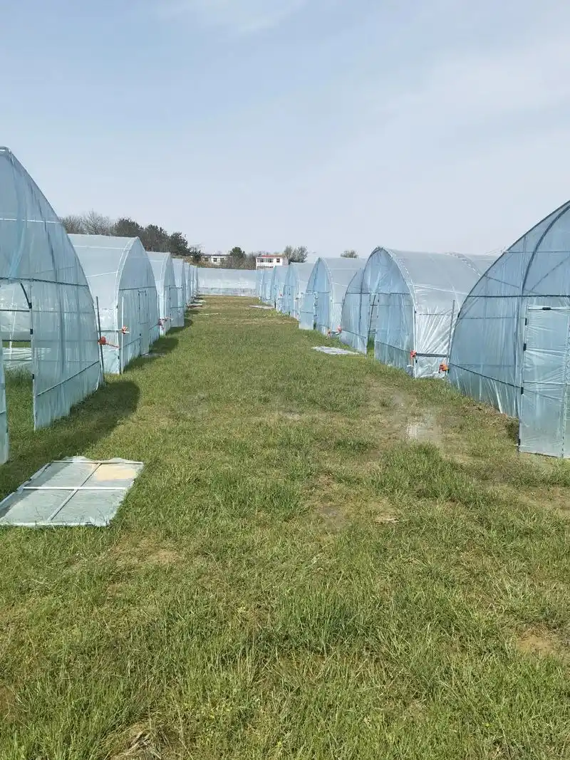 曹家坳村蔬菜大棚位于南北火车站中间,离铁路生活几分钟车程,条 - 抖