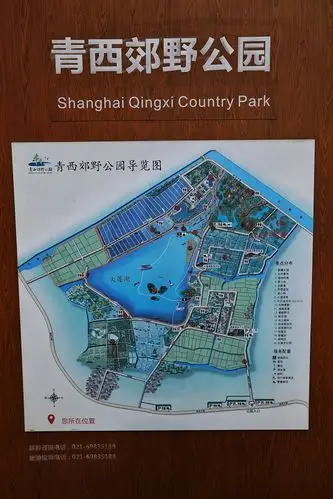 青西郊野公园水上森林掠影