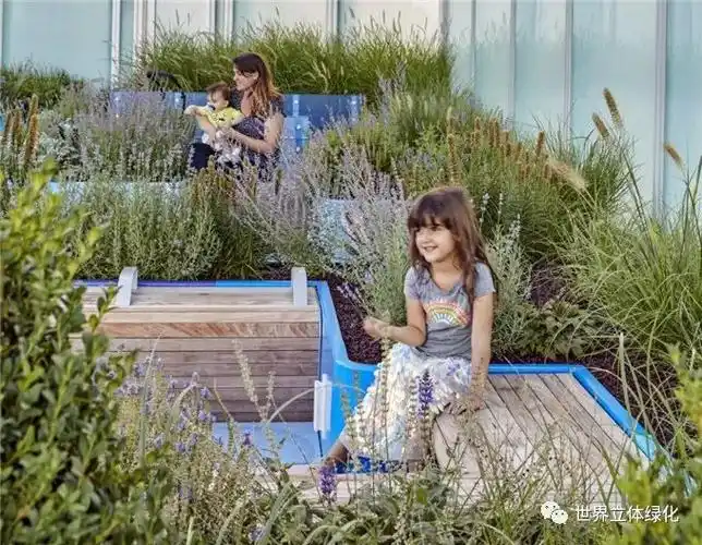 干货疗愈花园基于灾后身心康复的治愈系花园景观