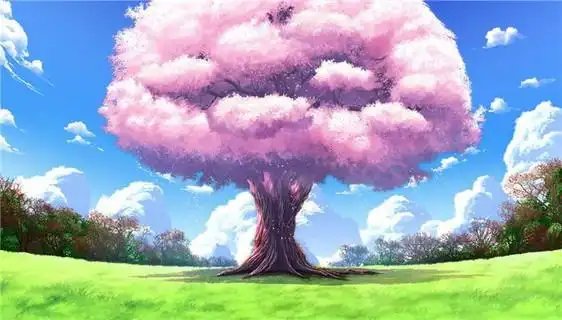 唯美樱花树插画