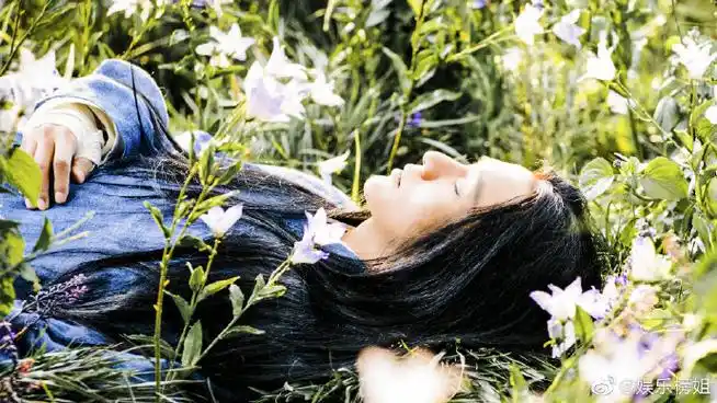 躺在花海里的模样好美,这么可爱的狐狸,在终极预告里被逼到黑化,有亿