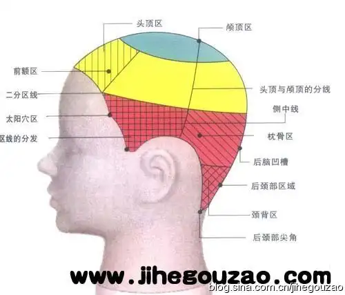 美发技术培训-二分区技术头部的重要点及区域的特征