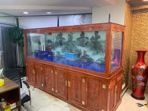 3米鱼缸快完工了