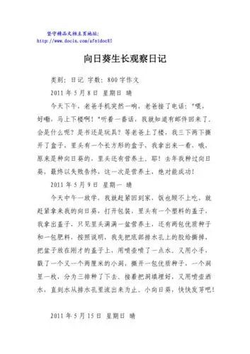 向日葵生长观察日记