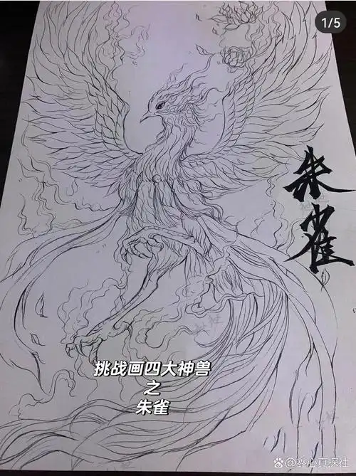 挑战画四大神兽 今日成分:朱雀: 因为快开学的缘故,最近经常听课,50位