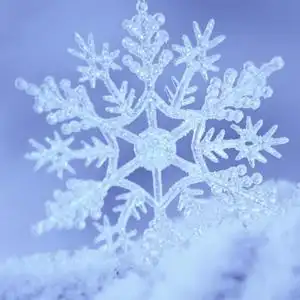 雪花_好看的微信头像图片_扣扣居