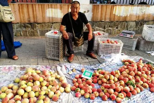 水果价格新低 鲜桃突破一元 葡萄2块5 摊贩低于进价出售减少损失