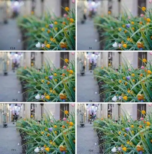 摄影中的景深是什么都有什么效果应该怎么控制一文学会