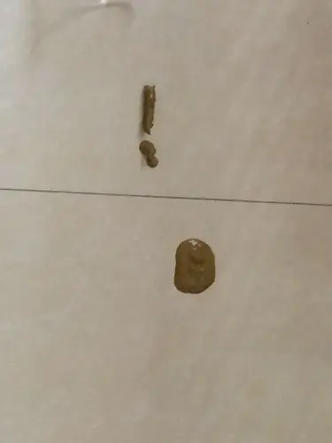 狗狗拉稀精神挺好的食欲挺好的鼻头也不干这是他便便的照片是不是细小