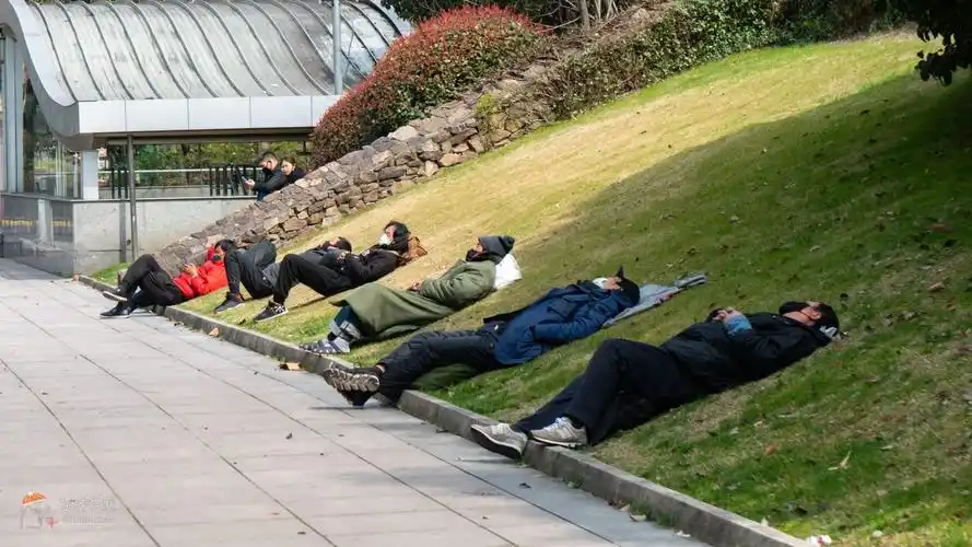 2ch中国的躺平族成功把我逗笑了