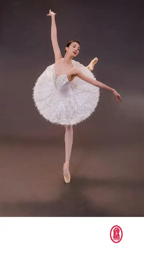 《小天鹅之舞》