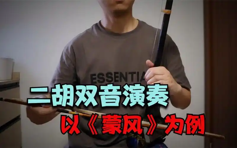 二胡双音演奏,以《蒙风》为例