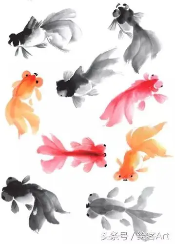 水墨大师教你画,五步绘出淡墨金鱼