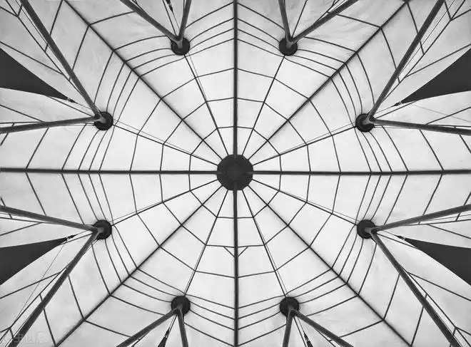 对称构图难出片?学会这些,对称构图一看就会!|影调|秩序感|倒影_网易