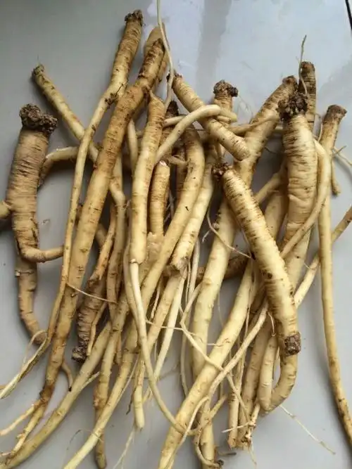 党参深山无硫特级中药材野生500克纯天然原生态党参