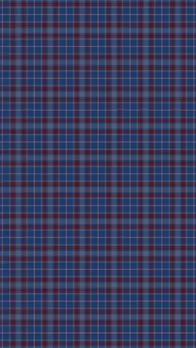 格子面料 经典格纹 蓝色格子面料