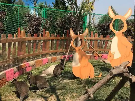 网红萌宠精灵剧场无动力乐园天津生态城新开的乐园必须要打卡