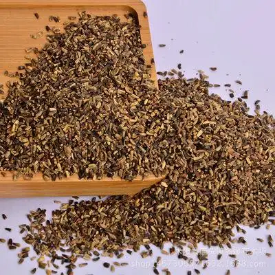 批发优质将军菊苣种子 菊苣牧草种子 菊苣包衣种子 质量发芽保证