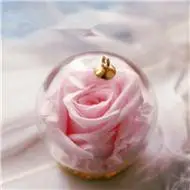 唯美小清新物品头像爱意满满的小物品图片头像