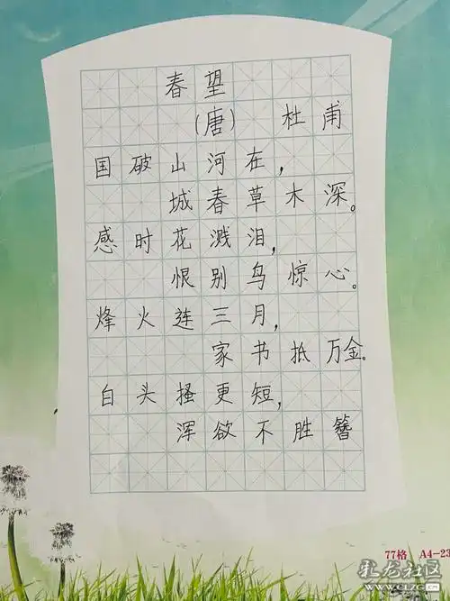 唐悦庭硬笔书法春望