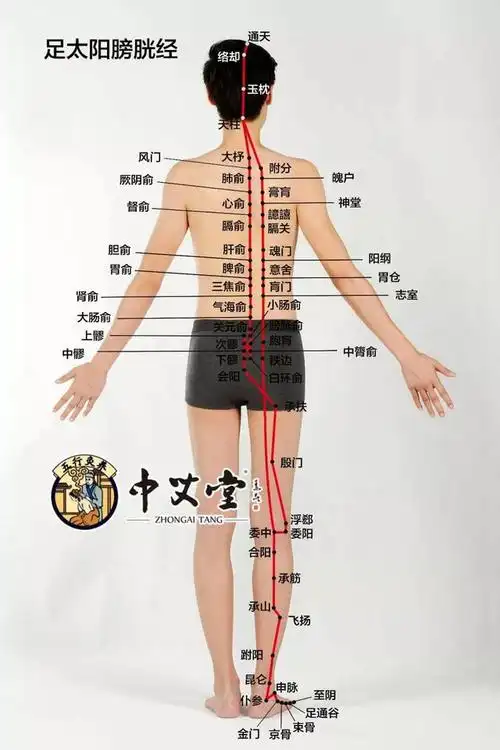 背部寒气重怎么办 背部寒气太重怎么办