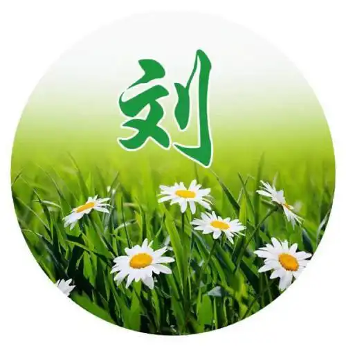 超有个性的姓氏头像,9款不同样式16个不同姓氏-文字头像