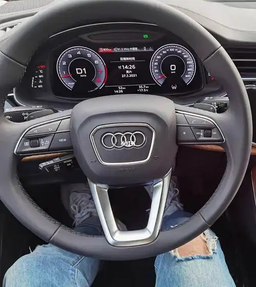 看方向盘猜车型系列3