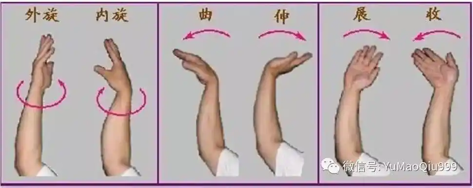 内旋内旋挥拍指前臂向内转动带动球拍旋转击球.