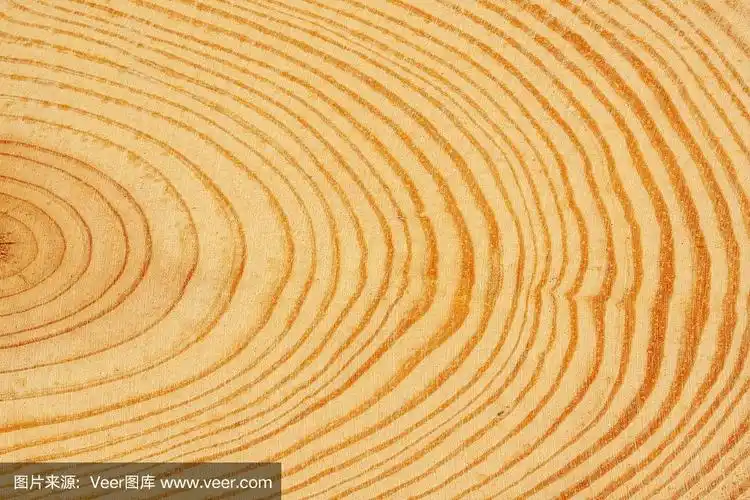 树的年轮背景