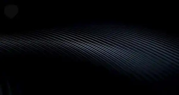 矢量黑色线条图片