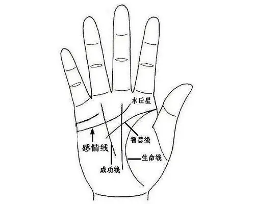 最全的手相智慧线解析!