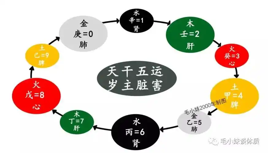 广东省中医院毛小妹聊五运六气